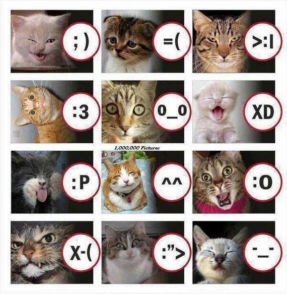 funny-pictures-329