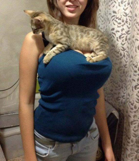 funny-pictures-329