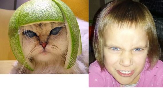 funny-pictures-330