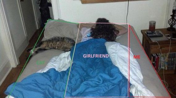 funny-pictures-330