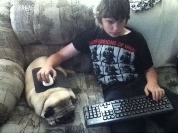 funny-pictures-330