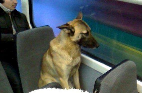 funny-pictures-332