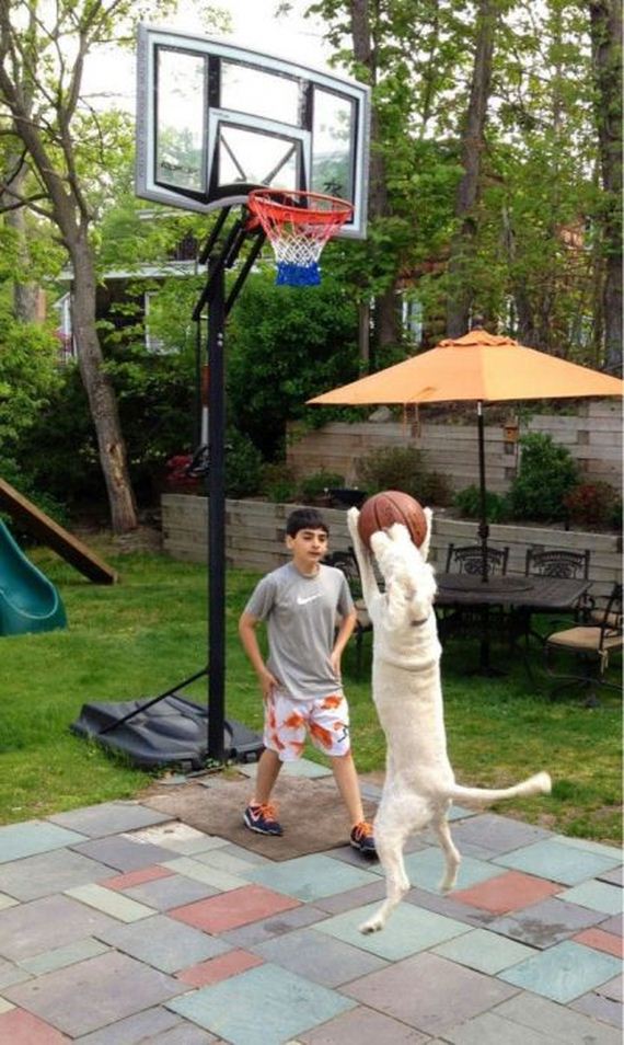funny-pictures-332