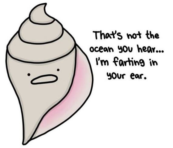 funny-pictures-332