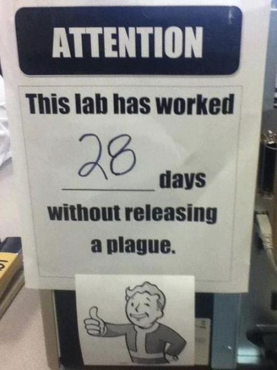 funny-pictures-332