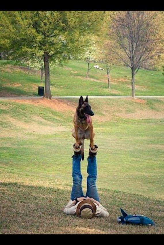 funny-pictures-332