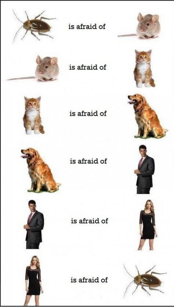 funny-pictures-332