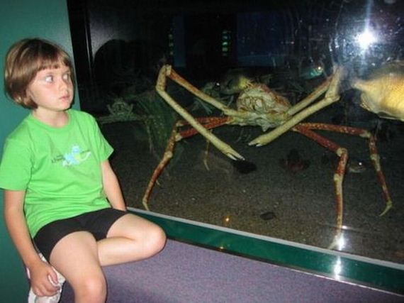 funny-pictures-333