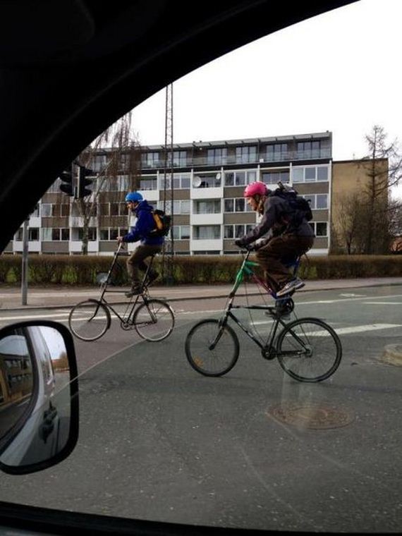 funny-pictures-333