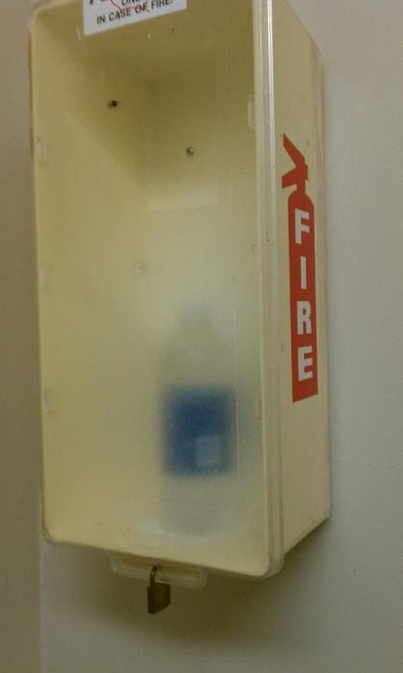 funny-pictures-333