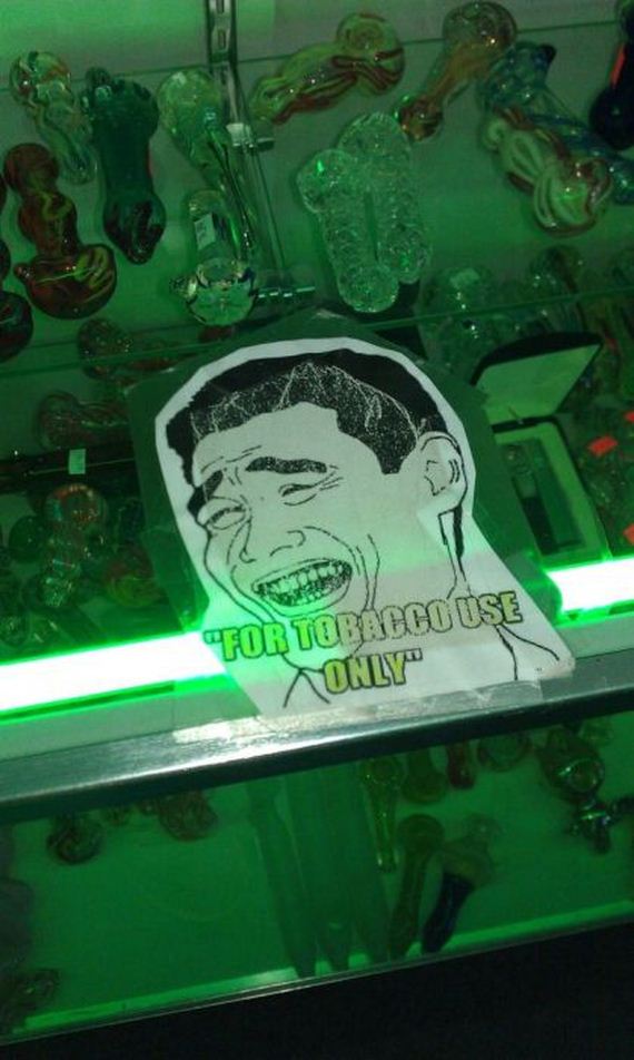 funny-pictures-333
