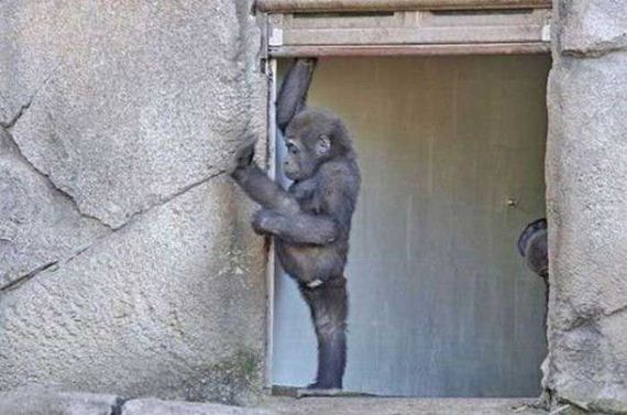 funny-pictures-333