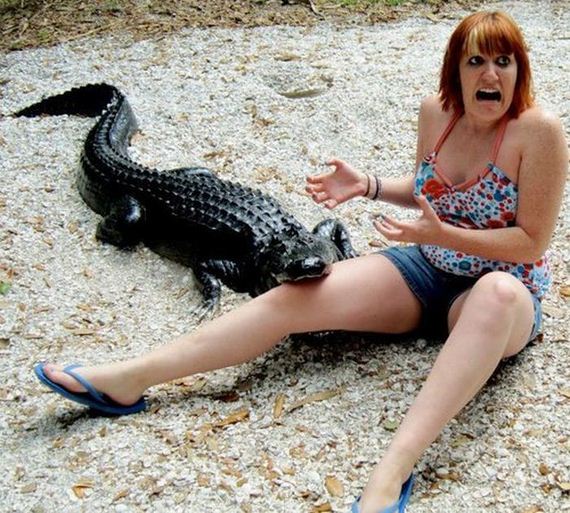 funny-pictures-333