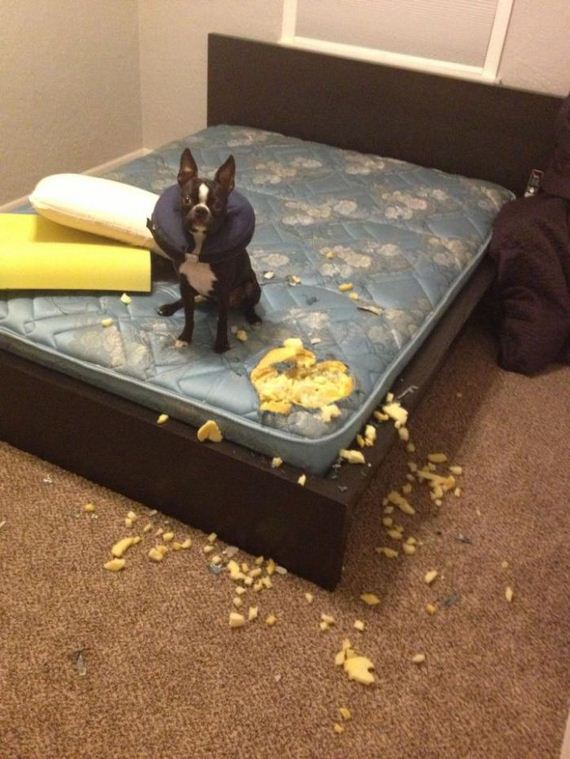 funny-pictures-333