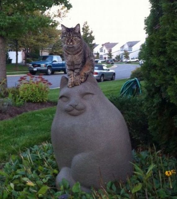 funny-pictures-334