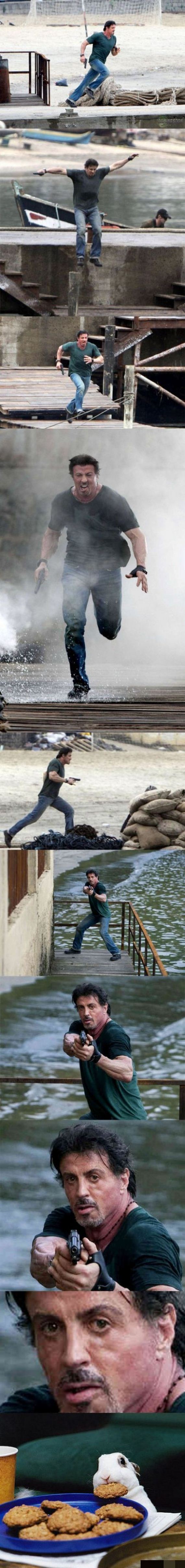 funny-pictures-334