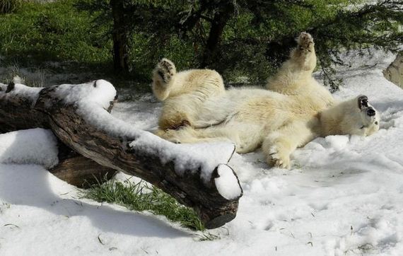 funny-pictures-335