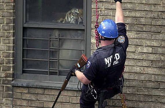 funny-pictures-335