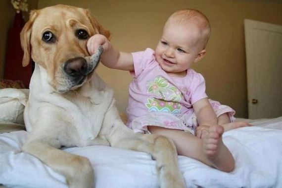 funny-pictures-335
