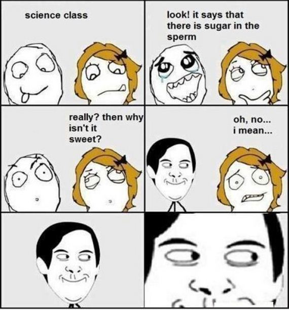 funny-pictures-335