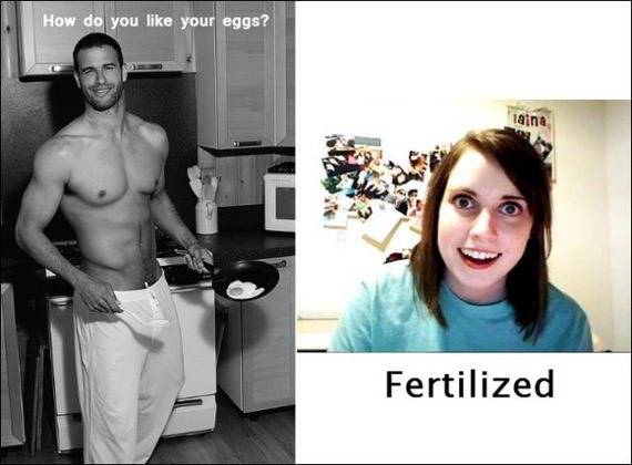 funny-pictures-335
