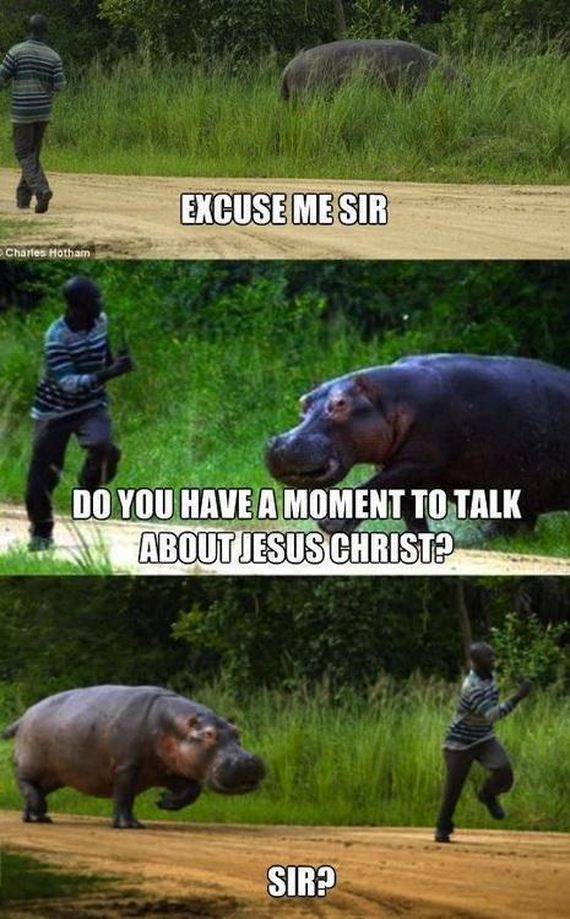 funny-pictures-337