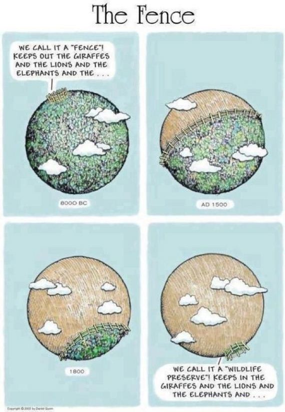 funny-pictures-337