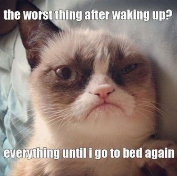 funny-pictures-337