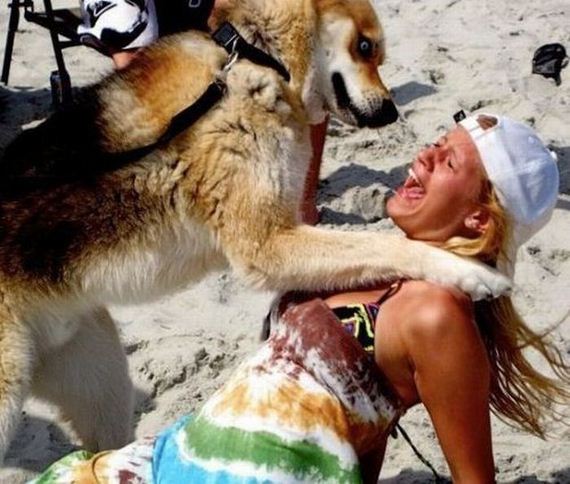 funny-pictures-337