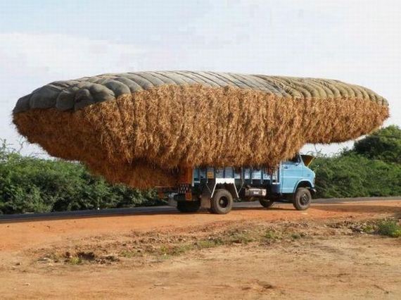 funny-pictures-337