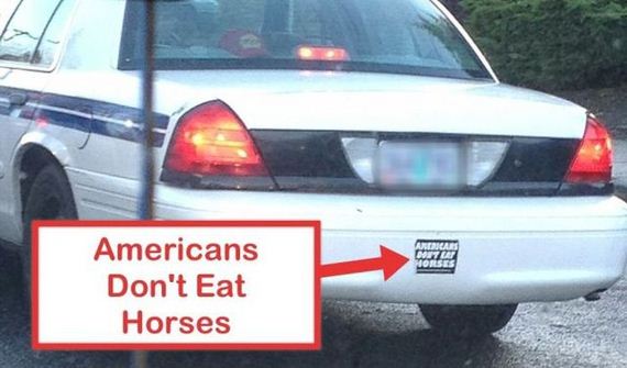 funny-pictures-337