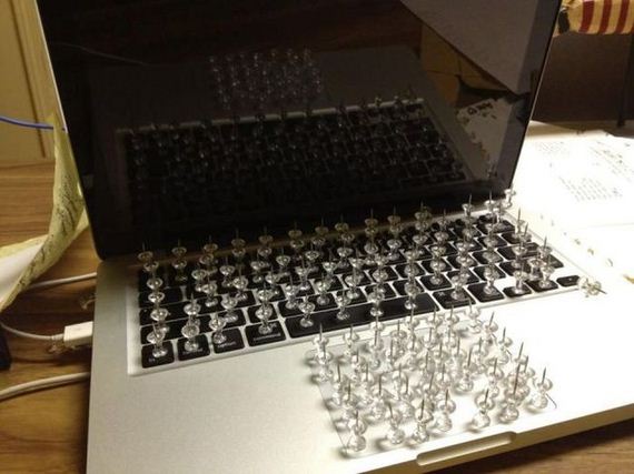 funny-pictures-337