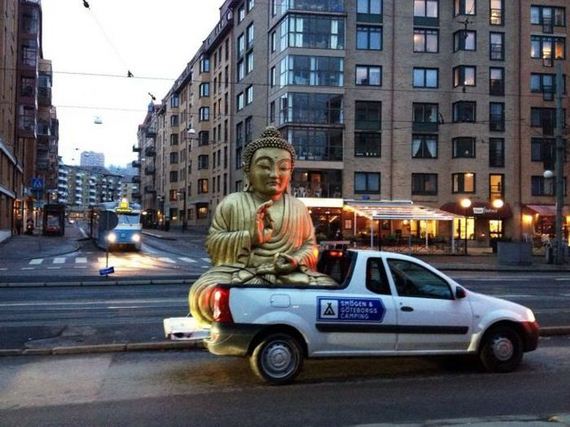 funny-pictures-337