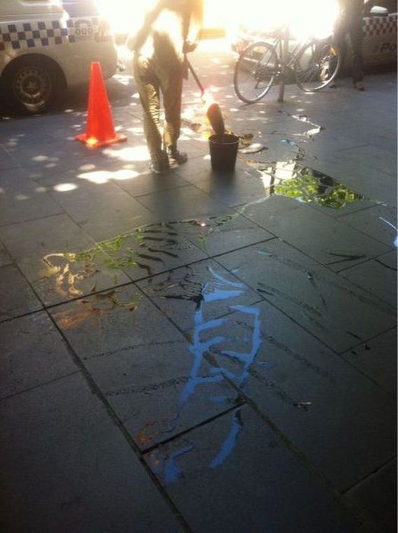 funny-pictures-337