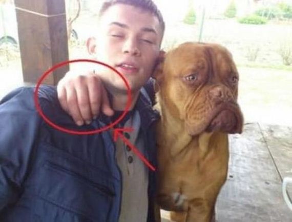 funny-pictures-337