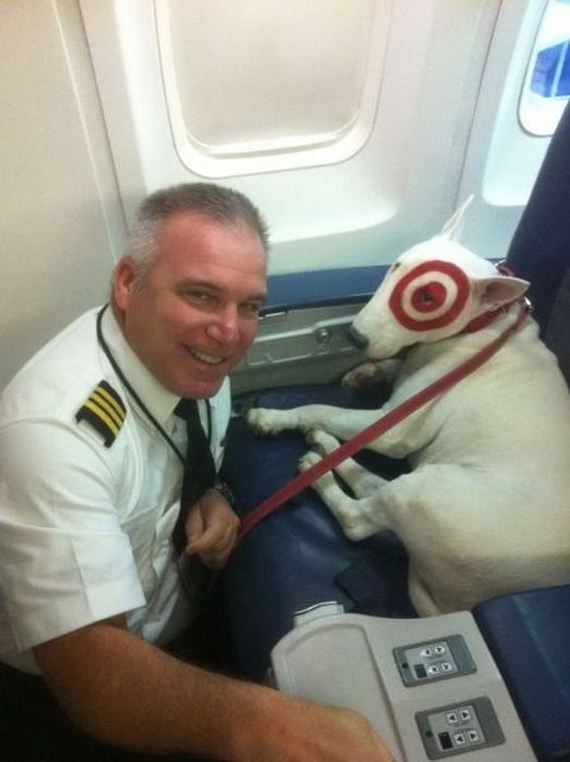 funny-pictures-338