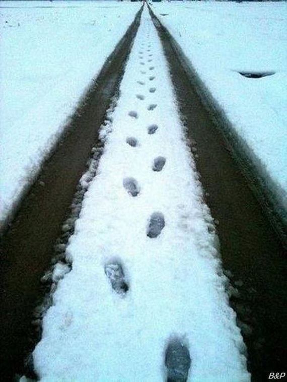 funny-pictures-338