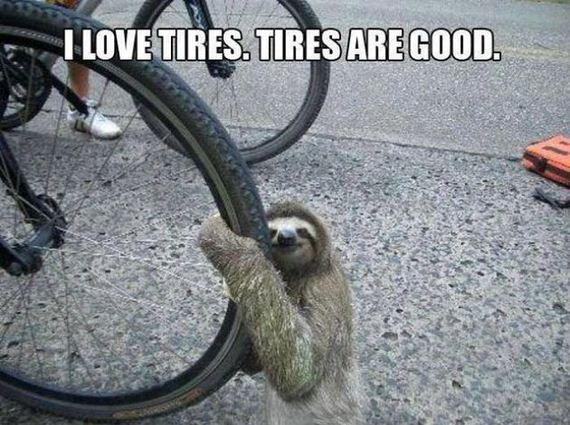 funny-pictures-338