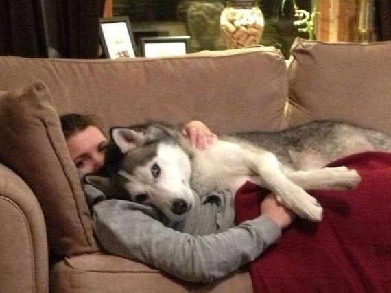 funny-pictures-338