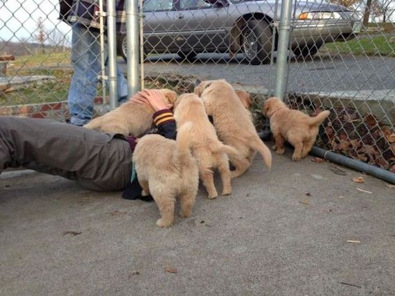 funny-pictures-338