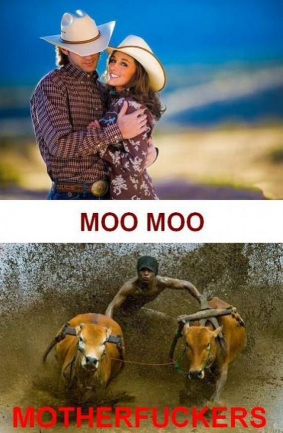 funny-pictures-338