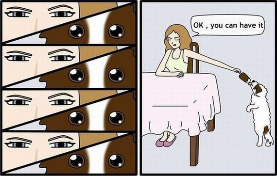 funny-pictures-338