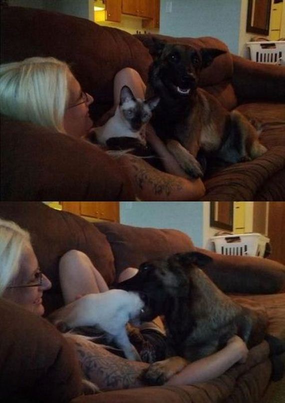 funny-pictures-338