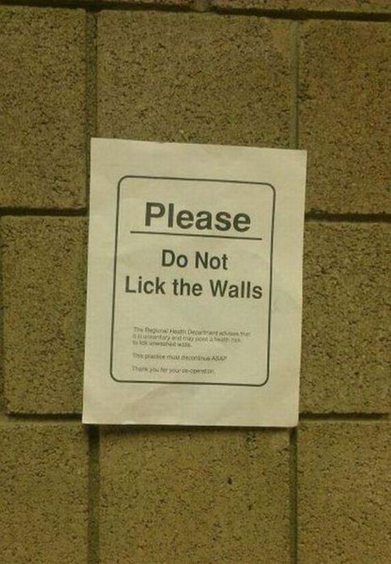 funny-pictures-338