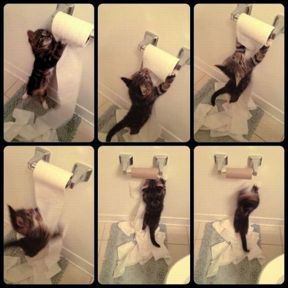 funny-pictures-338