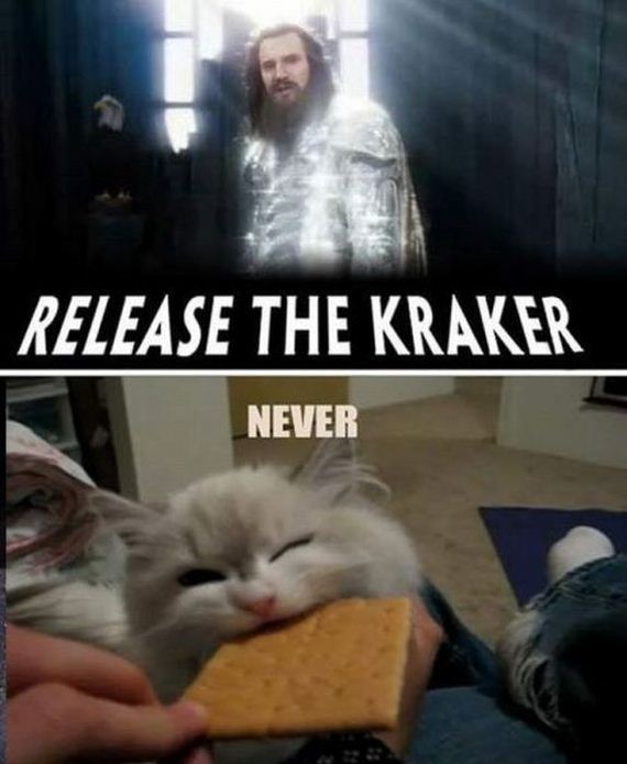 funny-pictures-338