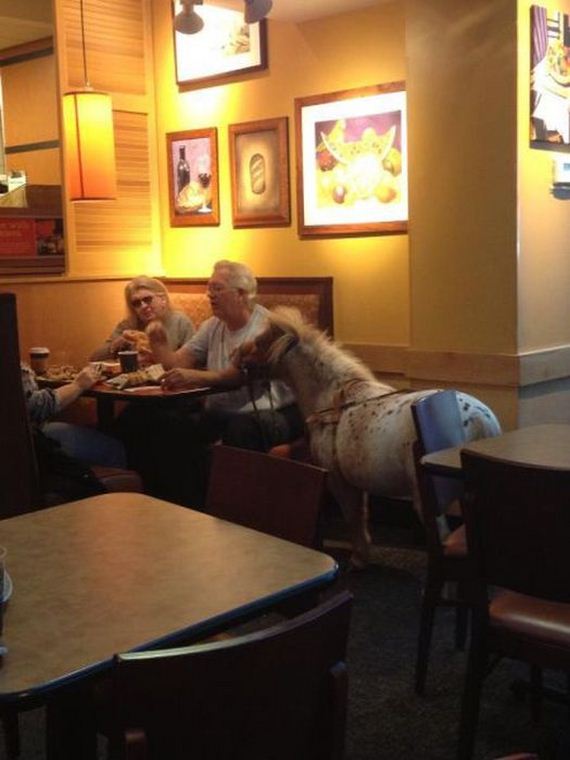 funny-pictures-339