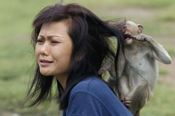 funny-pictures-339