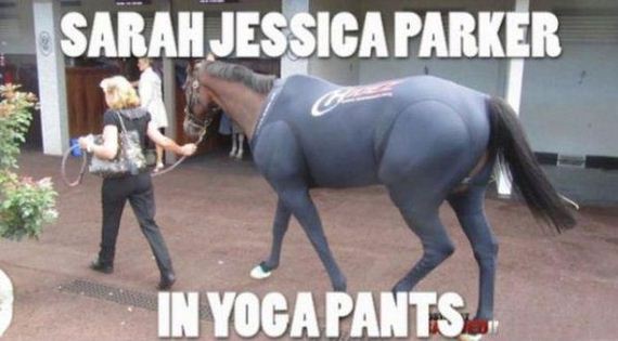 funny-pictures-339