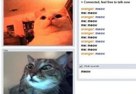 funny-pictures-339